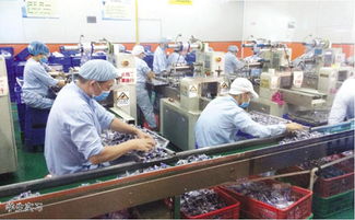 仲恺农业工程学院轻工食品学院通信工程专业探秘