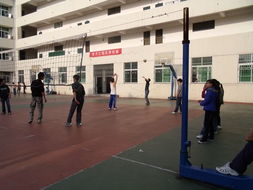 电子工程系计算机系统集成服务的核心价值与实践路径